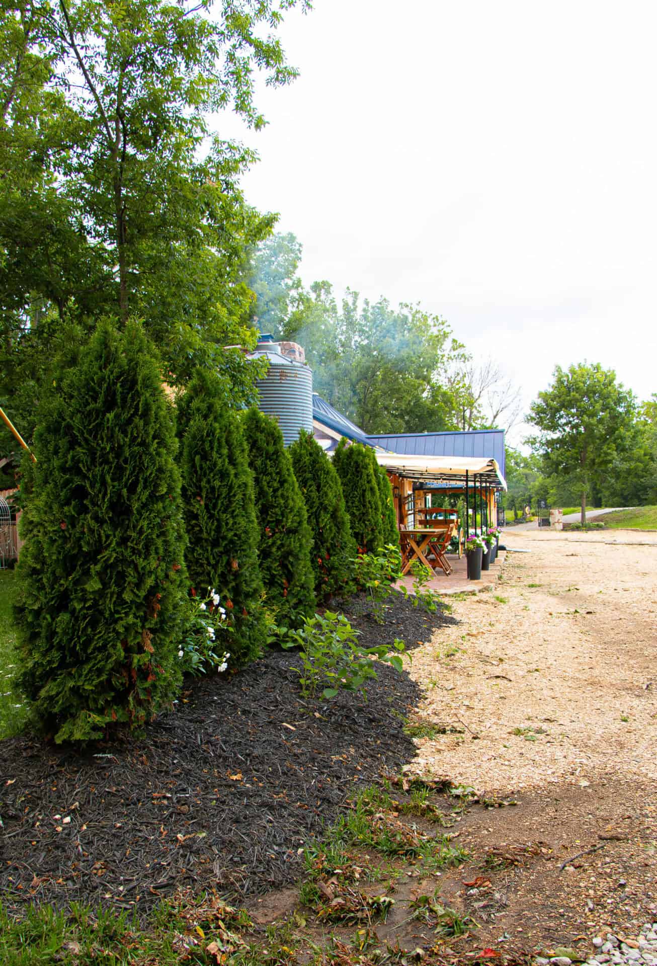 Lush greenery and outdoor patio area at Belle Stone Venue, a perfect location for elegant events and wedding ceremonies. Well-maintained landscaping with tall trees and seating areas create an inviting atmosphere.