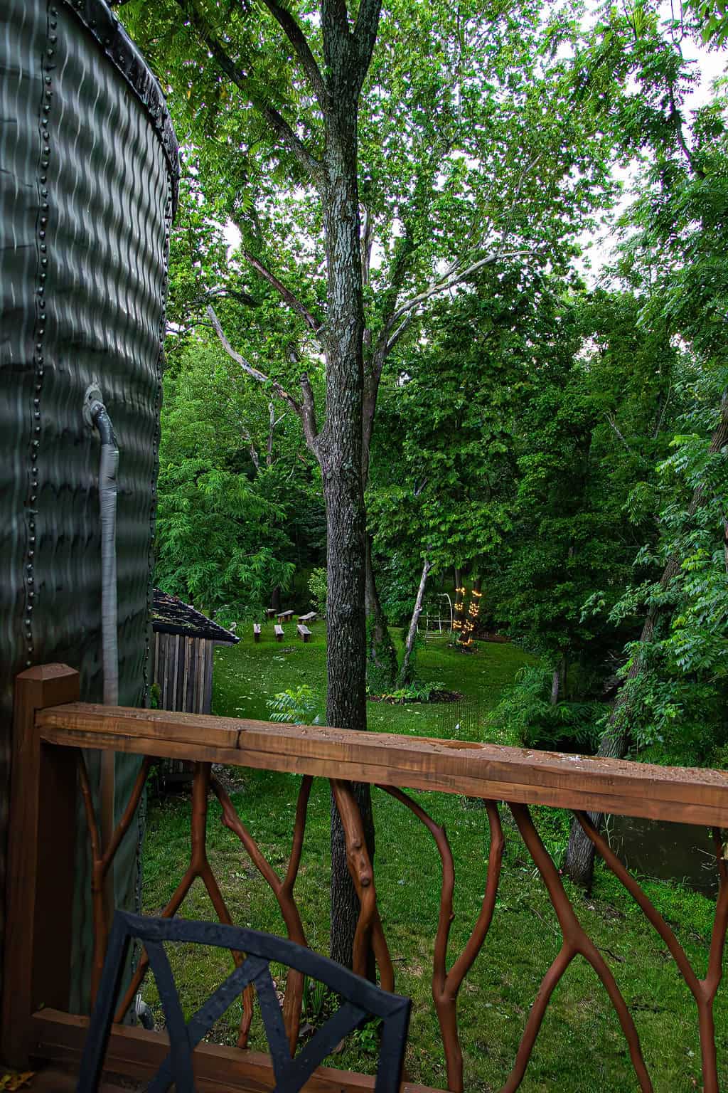 Lush green outdoor garden at Belle Stone Venue with tall trees and string lights for outdoor events and weddings.