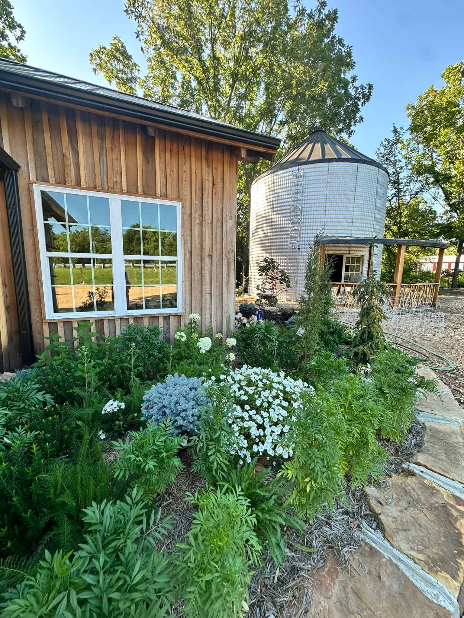 Rustic garden with lush greenery and blooming white flowers beside a wooden building with large window and a silo structure in the background at Belle Stone Venue.
